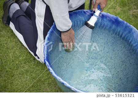 水連鉢 水連鉢 53615321