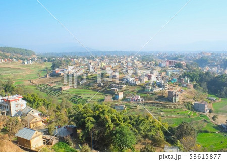 カトマンズ盆地ナガルコットハイキング　菜の花段々畑 53615877