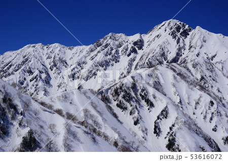 遠見尾根と五竜岳 53616072