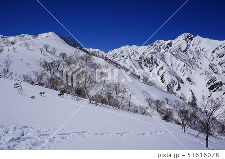 小遠見山と五竜岳 53616078