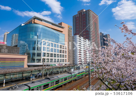 川口駅 春 53617106