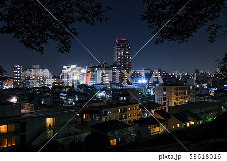 聖蹟桜ヶ丘 夜景 いろは坂桜公園から 53618016
