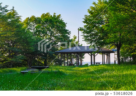 多摩市 都立桜ヶ丘公園 ゆうひの丘 53618026