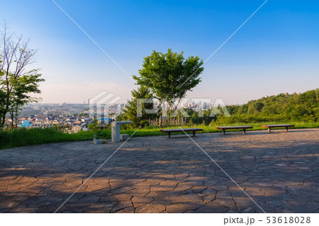 多摩市 都立桜ヶ丘公園 ゆうひの丘 53618028