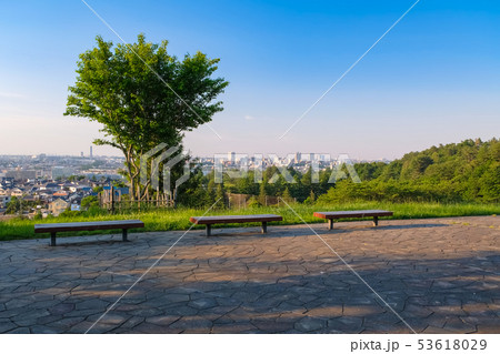 多摩市 都立桜ヶ丘公園 ゆうひの丘 53618029