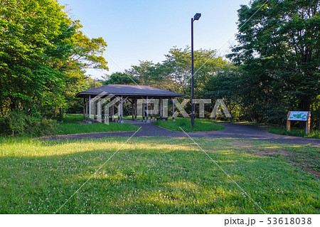 多摩市 都立桜ヶ丘公園 ゆうひの丘 53618038