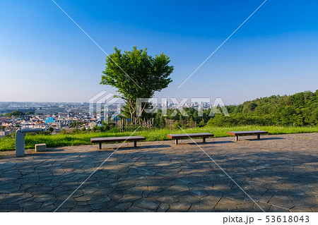 多摩市 都立桜ヶ丘公園 ゆうひの丘 多摩市 都立桜ヶ丘公園 ゆうひの丘 53618043