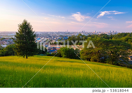 多摩市 都立桜ヶ丘公園 ゆうひの丘 夕景 53618044