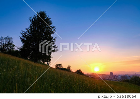 多摩市 都立桜ヶ丘公園 ゆうひの丘 夕景 53618064