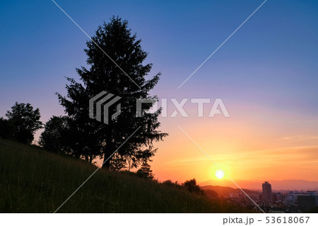 多摩市 都立桜ヶ丘公園 ゆうひの丘 夕景 53618067