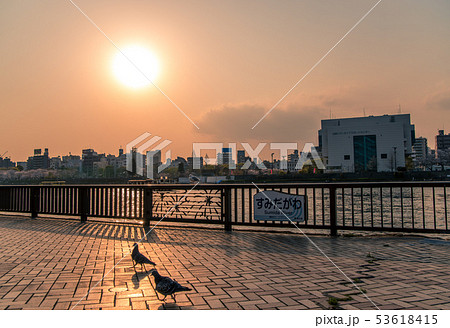 夕暮れの隅田川 53618415