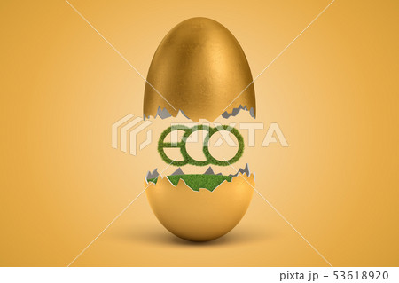 3d rendering of green grass ECO sign hatching out of golden egg on yellow background 53618920