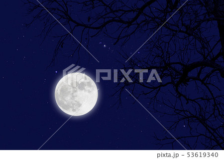 Fullmoon and star with dead branches .winter Fullmoon and star with dead branches .winter 53619340