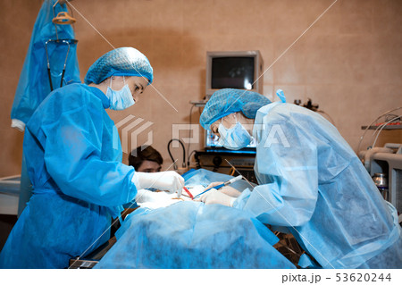 veterinarian or doctors team doing surgery in the veterinarian or doctors team doing surgery in the 53620244