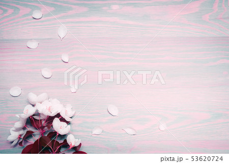 Beautiful spring apple flowers on wooden background. Beautiful spring apple flowers on wooden background. 53620724