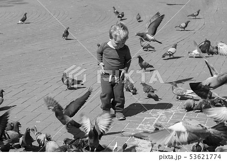A Baby boy Surrounded by Doves on the piazza 53621774