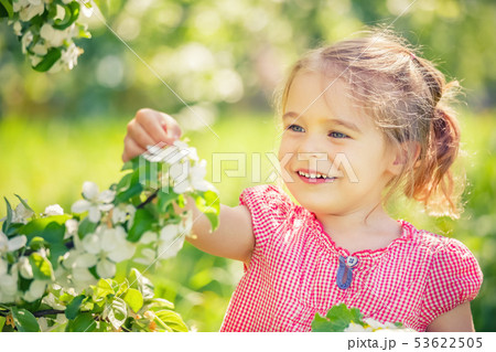 Happy little girl in apple tree garden 53622505