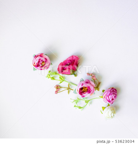 Abstract composition of spring flowers.. 53623034