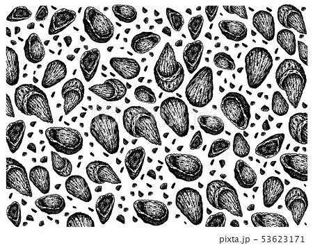 Hand Drawn Wallpaper Of Almond Nuts Backgroundのイラスト素材 53623171 Pixta