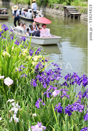 柳川市　風景　川下り 53624819