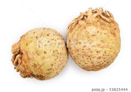 Fresh celery root isolated on white background. Top view. Flat lay 53625444