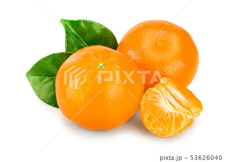 tangerine or mandarin fruit with leaves isolated on white background tangerine or mandarin fruit with leaves isolated on white background 53626040