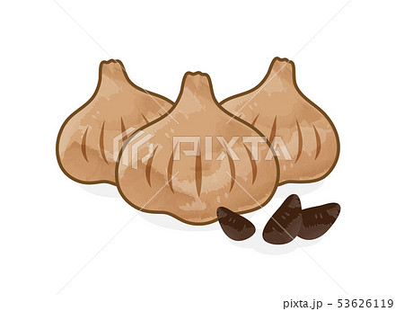 黒にんにく 黒にんにく 53626119