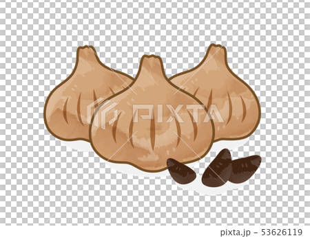 黒にんにく 黒にんにく 53626119