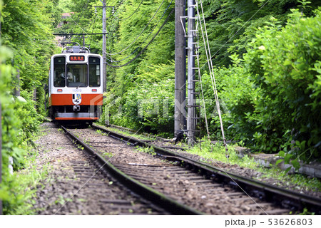 【2019初夏】 箱根登山鉄道1000形【神奈川県】 復刻塗装 【2019初夏】 箱根登山鉄道1000形【神奈川県】 復刻塗装 53626803