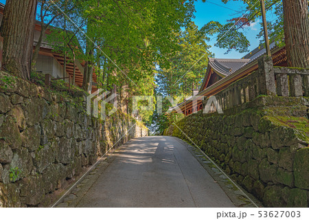 輪王寺 参道の風景 輪王寺 参道の風景 53627003