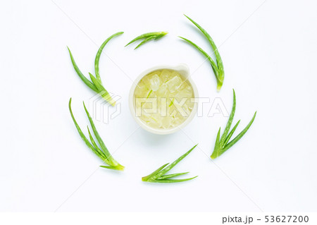 Aloe vera is a popular medicinal plant for health. 53627200