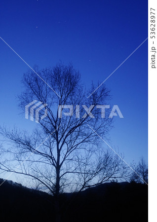 あららぎ高原 53628977