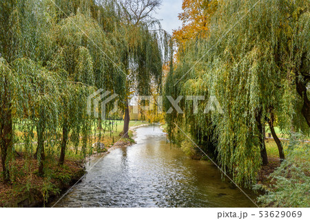 Englischer Garten in Munich. Germany 53629069