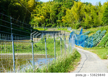 電磁柵 農業 畑 獣害対策 フェンス 田舎 電磁柵 農業 畑 獣害対策 フェンス 田舎 53629840