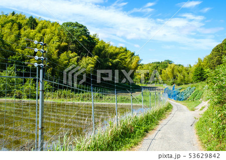 電磁柵 農業 畑 獣害対策 フェンス 田舎 電磁柵 農業 畑 獣害対策 フェンス 田舎 53629842