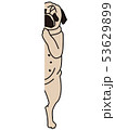 おパグは見た 53629899