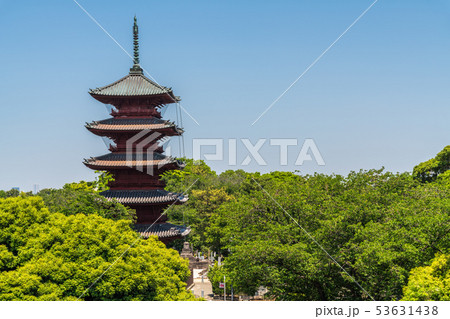 池上本門寺五重塔新緑 53631438