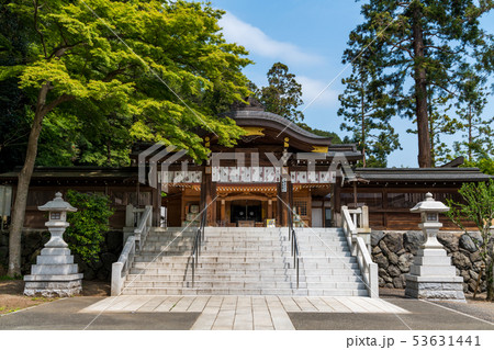 高麗神社神門と新緑 高麗神社神門と新緑 53631441