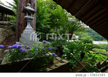 長谷寺より 長谷寺より 53631565