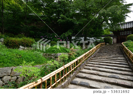 長谷寺より 53631692