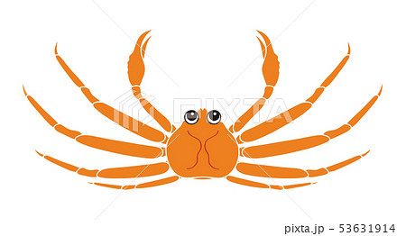 オスの蟹 カニ Crab のキャラクター 上向き イラストのイラスト素材