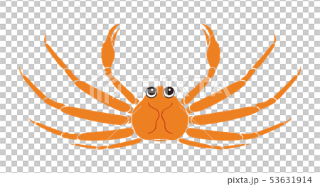 オスの蟹 ( カニ ) crab のキャラクター 上向き イラスト 53631914