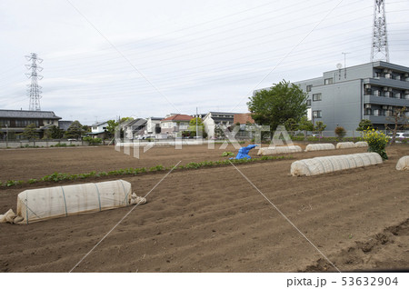 生産緑地 Productive green areas 生産緑地 Productive green areas 53632904