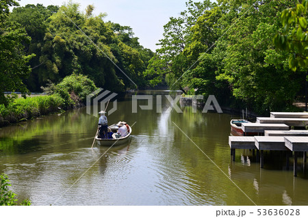 柳川市 風景 川下り 柳川市 風景 川下り 53636028