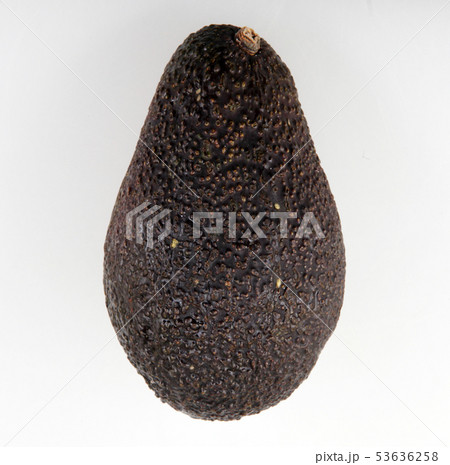 Fresh Hass Avocado Against White Background Fresh Hass Avocado Against White Background 53636258