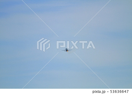 F-16 F-16 53636647