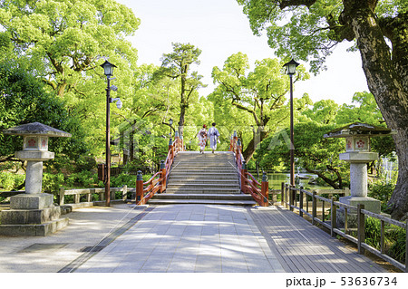 太宰府天満宮 太鼓橋 53636734