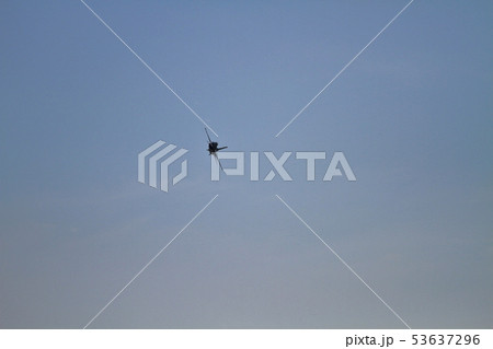 F-16 53637296