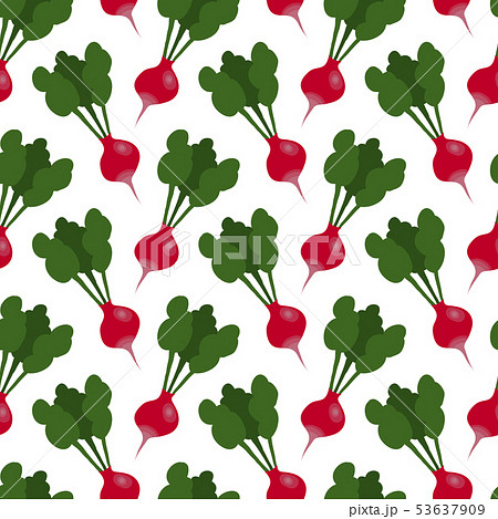 Hand drawn radish vector seamless pattern Hand drawn radish vector seamless pattern 53637909