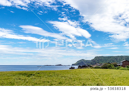 海岸沿いの水田 8月 53638318
